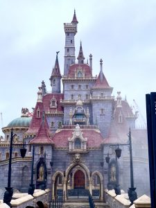 現状のディズニーランドレポート